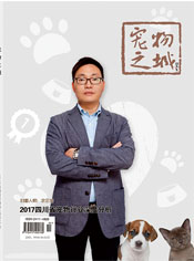 宠物之城电子书